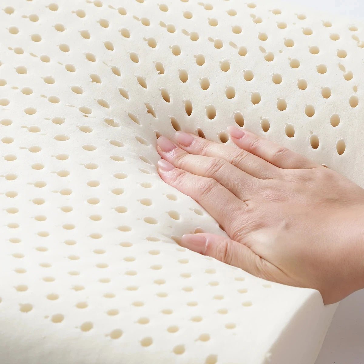 PAPATYA Latex Couple Pillow - Thai Latex Pillow