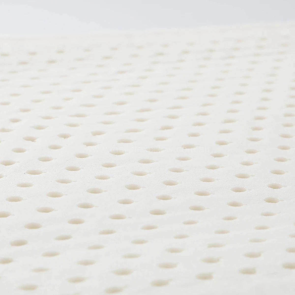 PAPATYA Latex Couple Pillow - Thai Latex Pillow